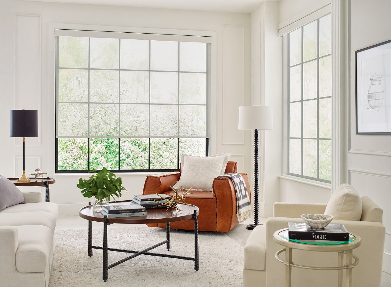 roller shades living room